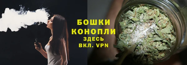 PSILOCYBIN Балахна