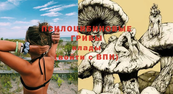 СК Белоозёрский