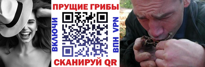 купить наркотики цена  Муравленко  Псилоцибиновые грибы мицелий 